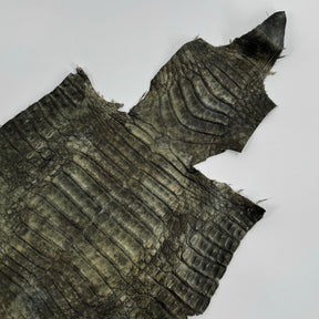 Forest Caiman Crocodile - only 1 | SALE