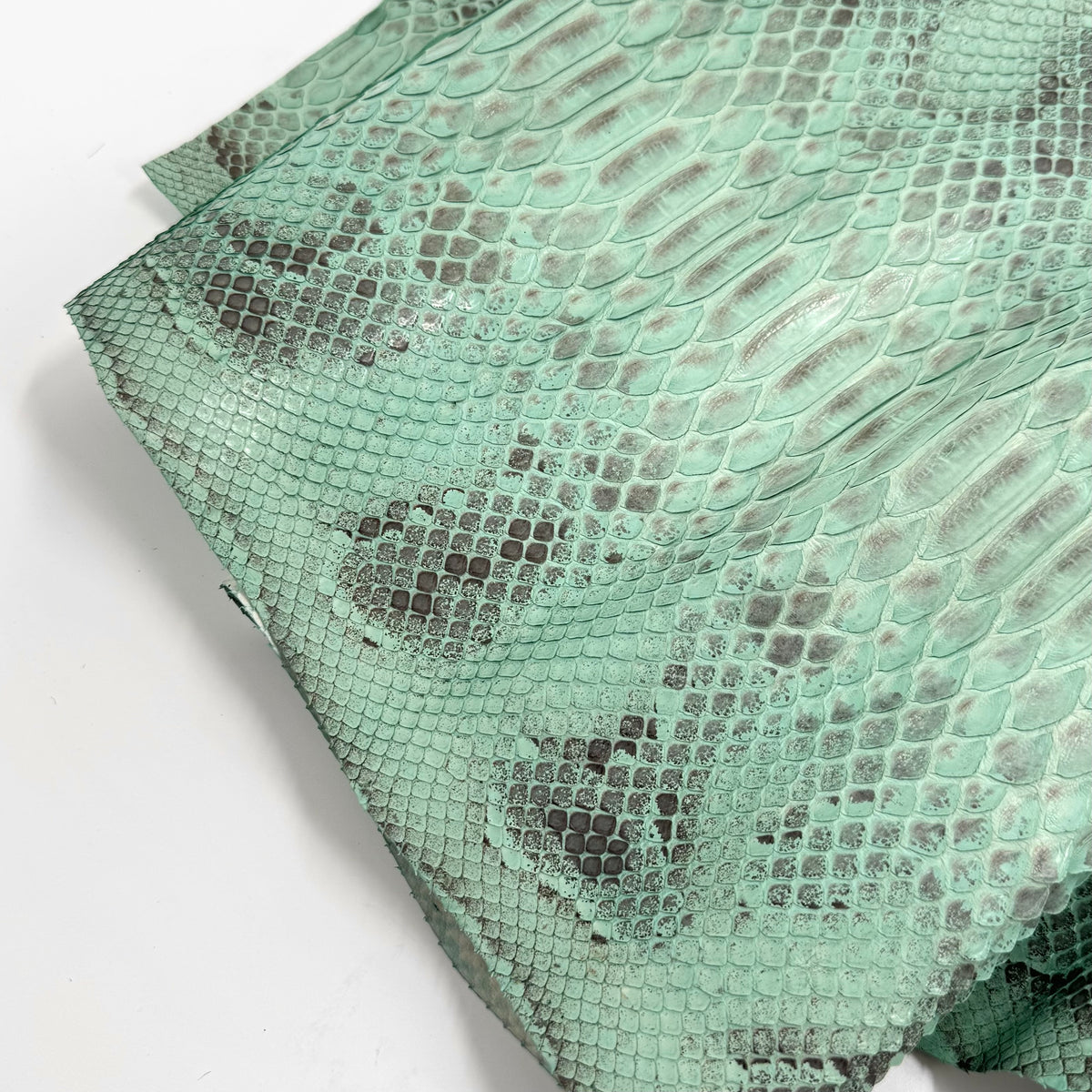 Mint Python Z4 - 1 Available | SALE