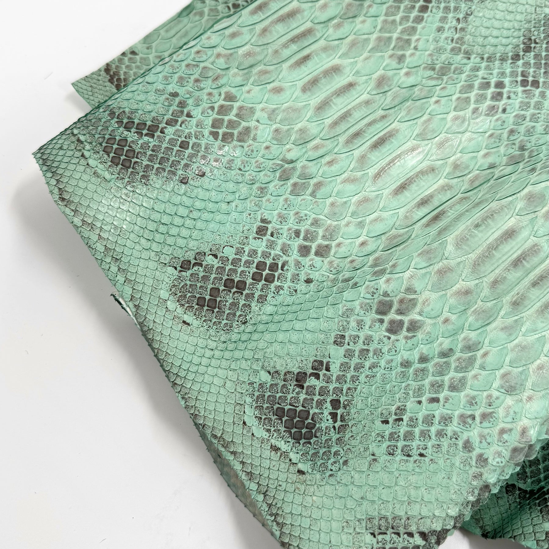 Mint Python Z4 - 1 Available | SALE
