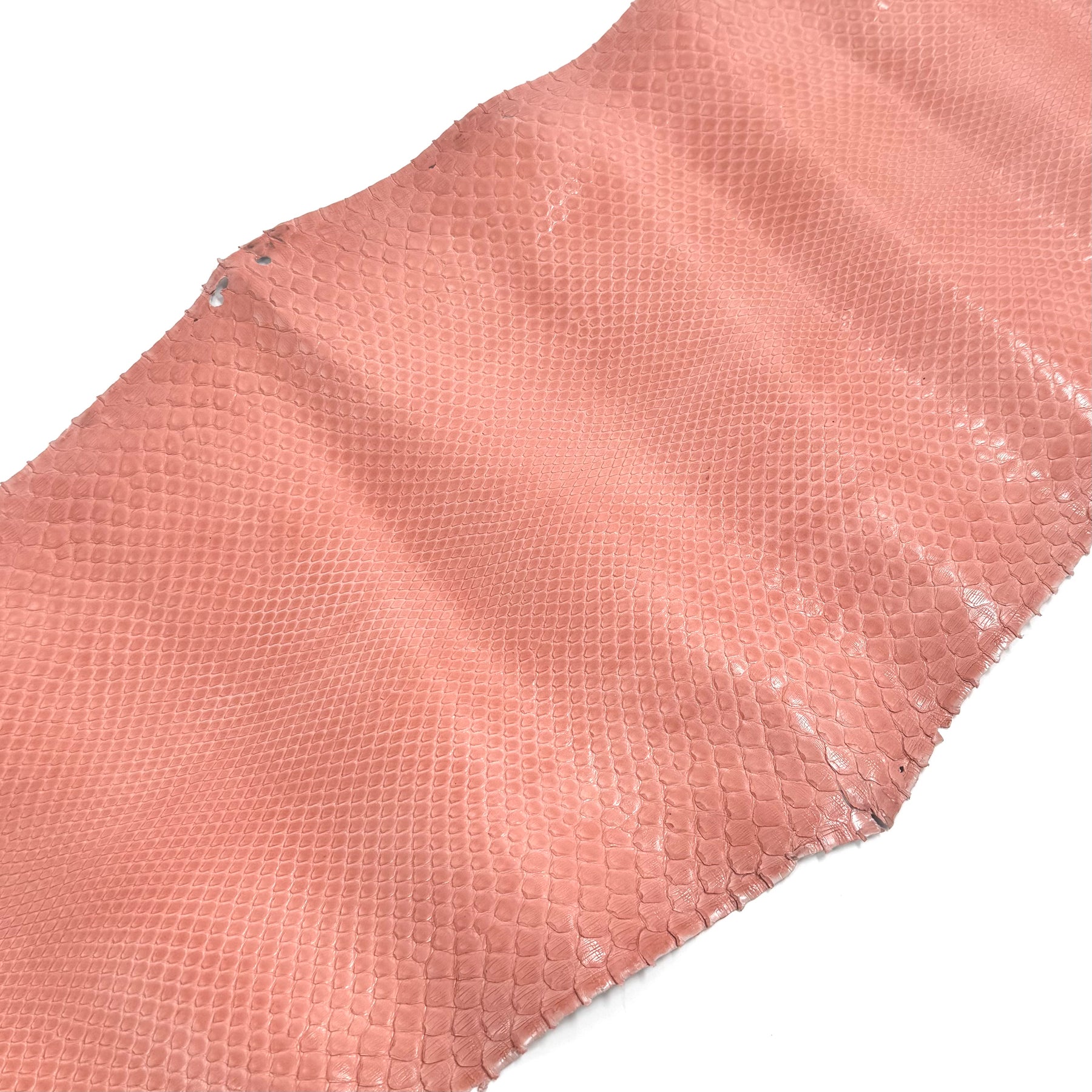 Coral Python Skin X5 - 1 Available | SALE