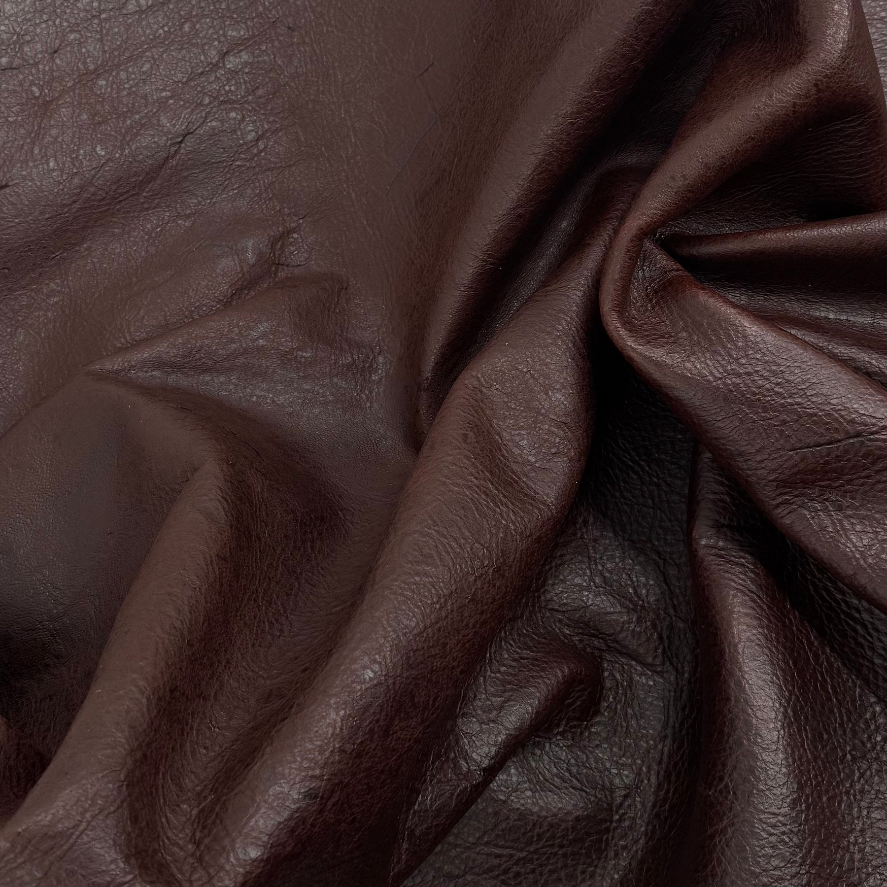 South African Oryx in Dark Rust Brown