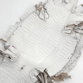 White Pigmented Caiman - Grade 2 & Grade 3 | Sale