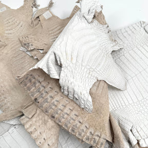 White Pigmented Caiman - Grade 2 & Grade 3 | Sale