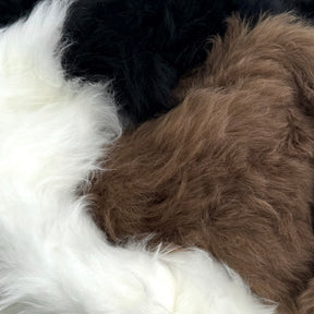 Ironed Mongolian Long Hair Lamb Plate