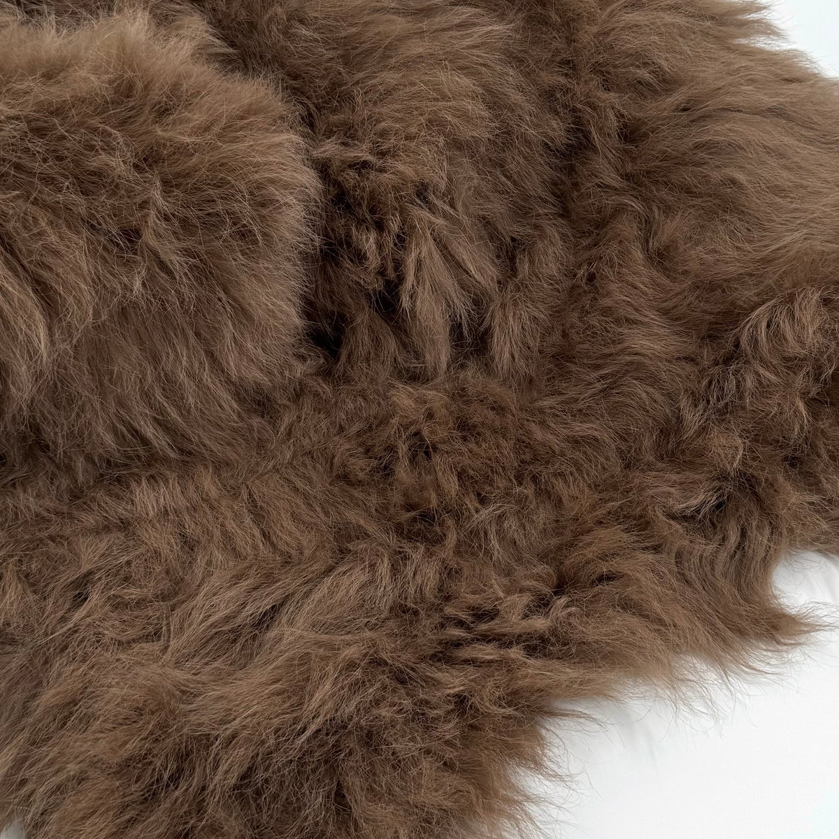 Ironed Mongolian Long Hair Lamb Plate