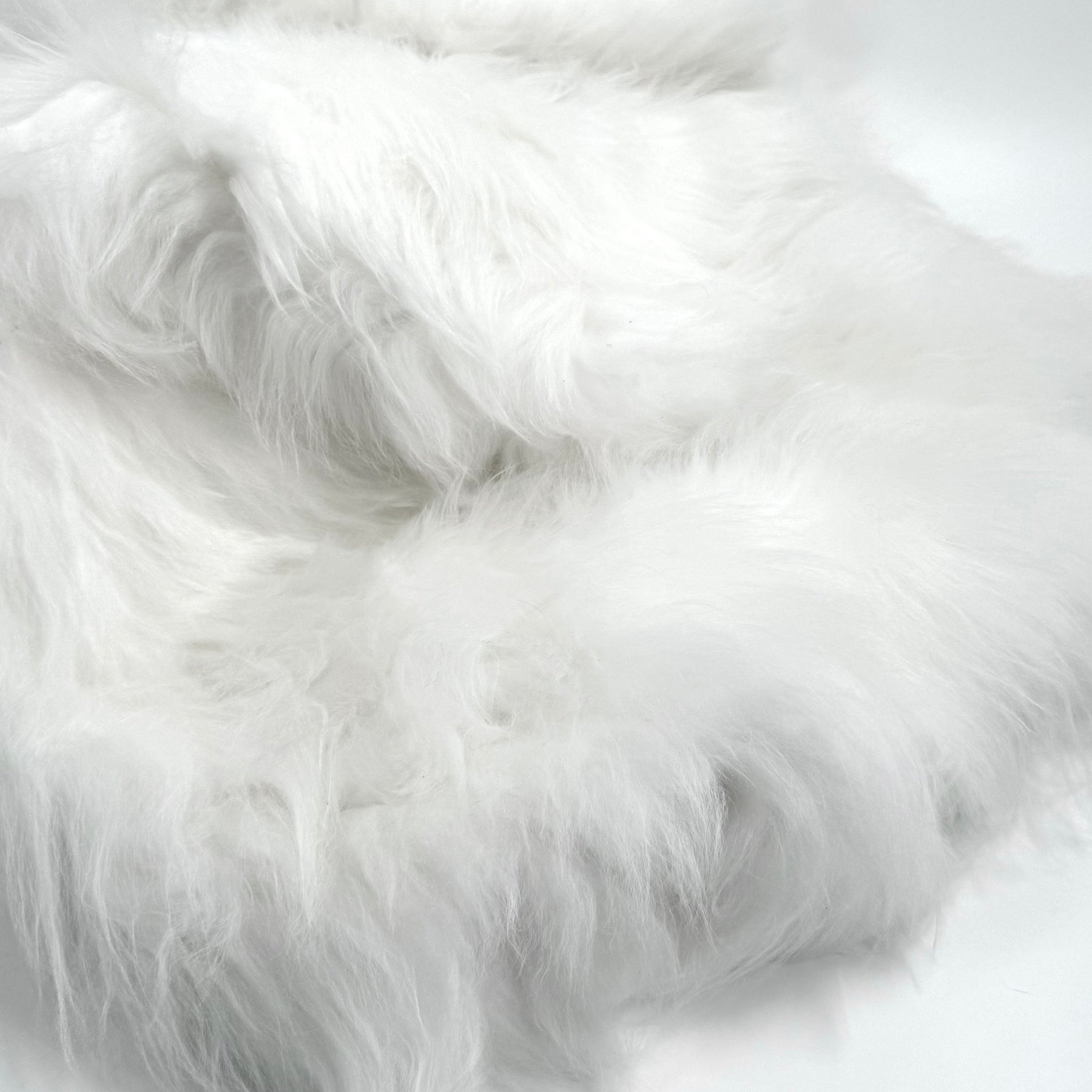 Ironed Mongolian Long Hair Lamb Plate