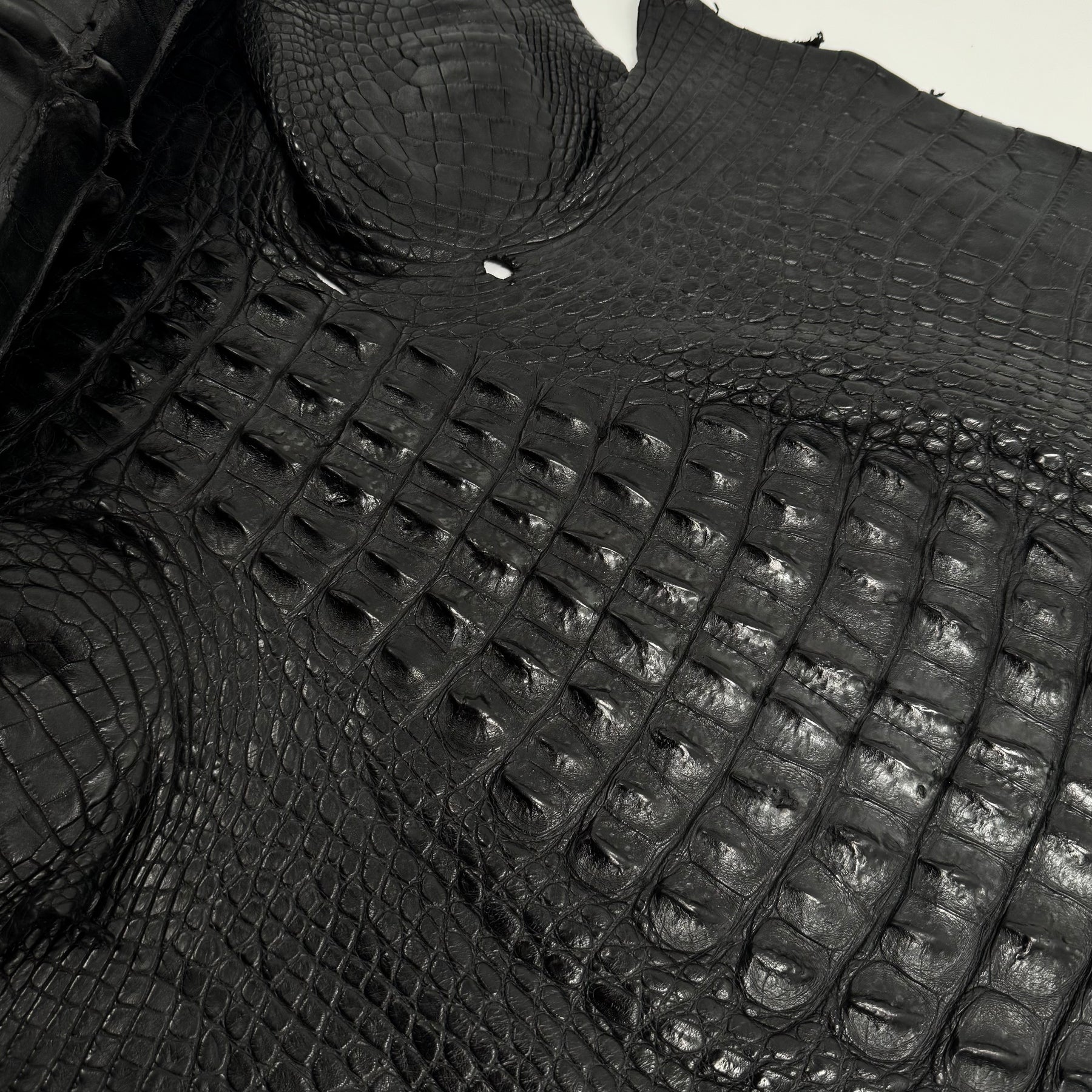 Exclusive Hornback Alligator in Black (56 cm) - Only 1 Available!