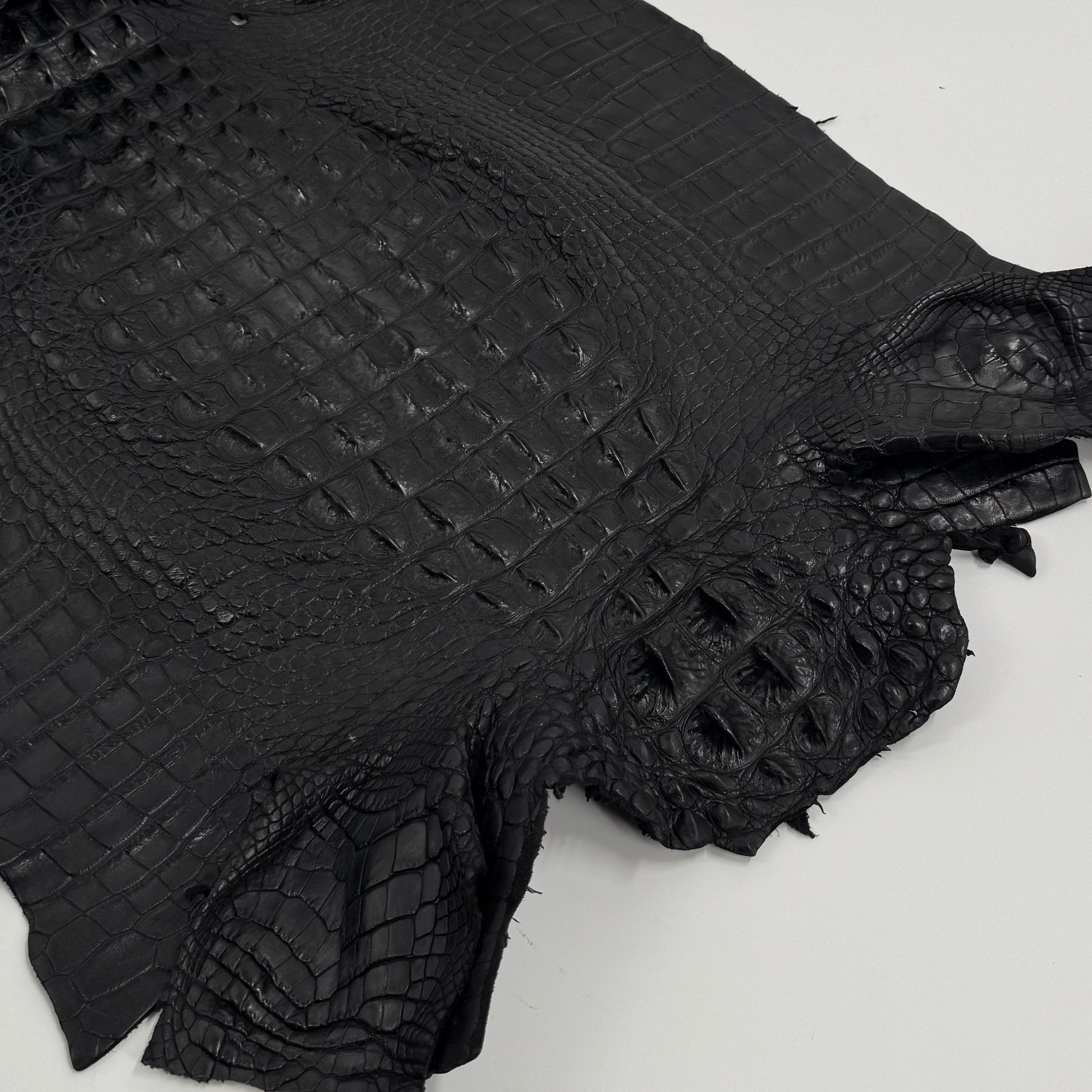 Exclusive Hornback Alligator in Black (56 cm) - Only 1 Available!