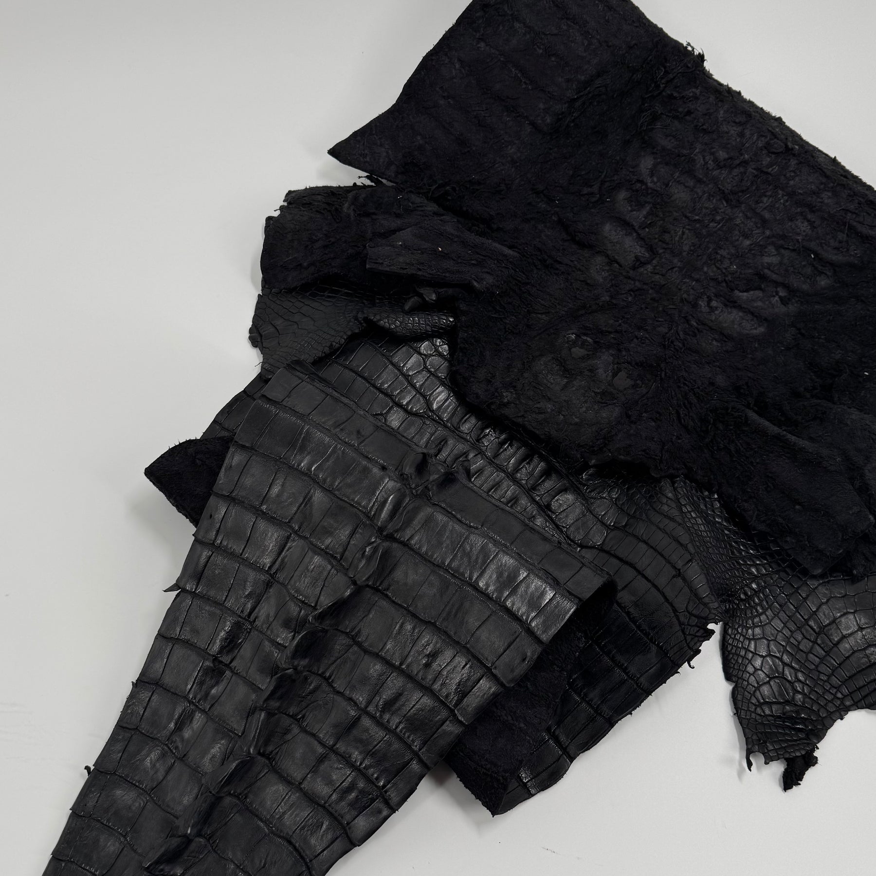 Exclusive Hornback Alligator in Black (56 cm) - Only 1 Available!
