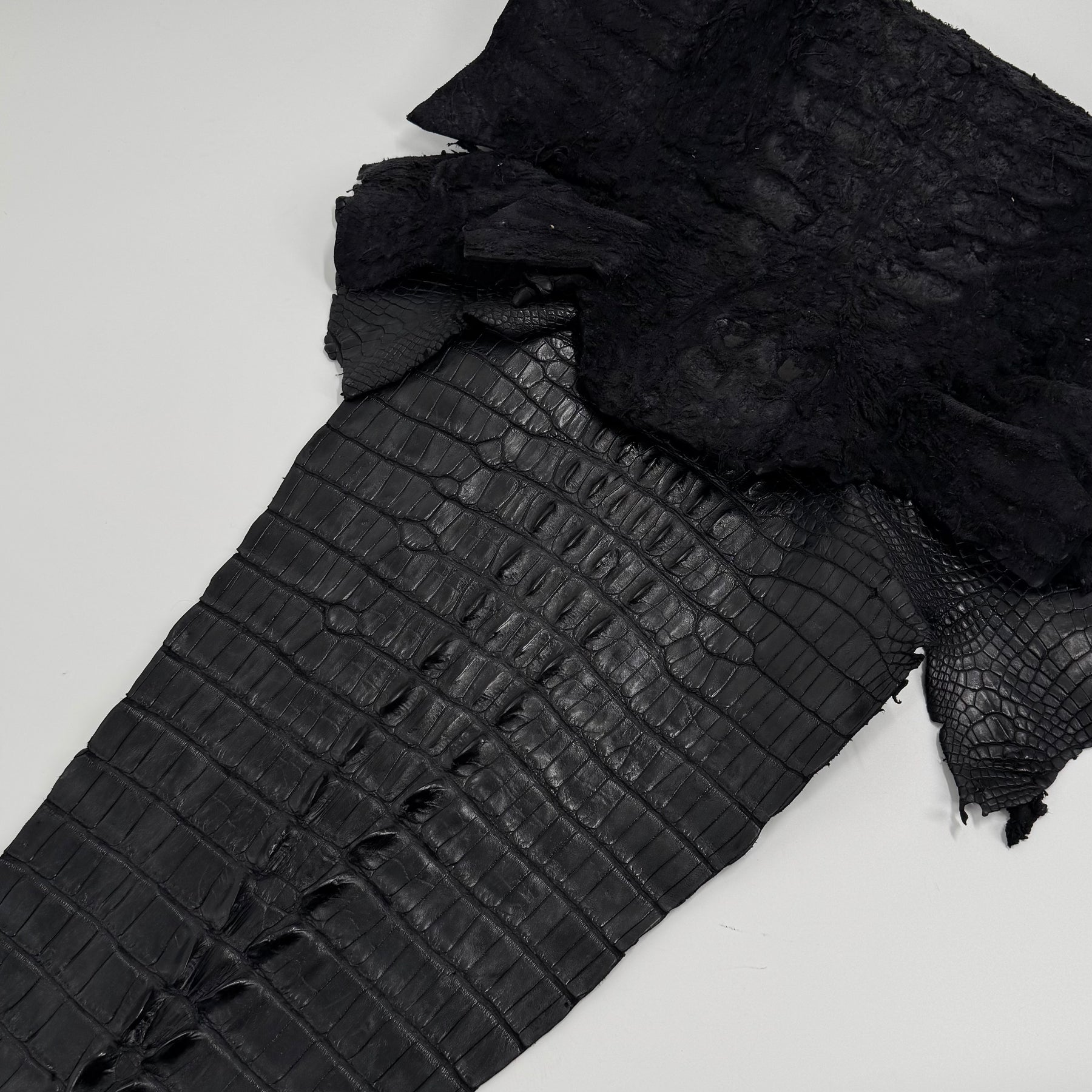 Exclusive Hornback Alligator in Black (56 cm) - Only 1 Available!