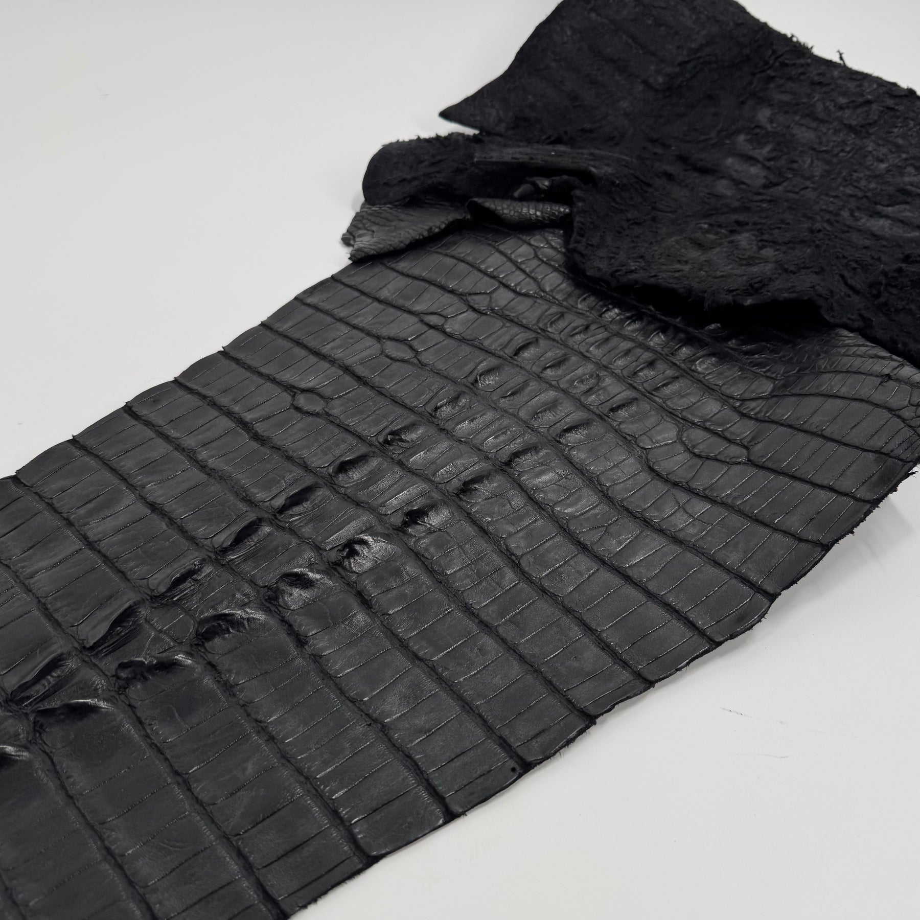 Exclusive Hornback Alligator in Black (56 cm) - Only 1 Available!