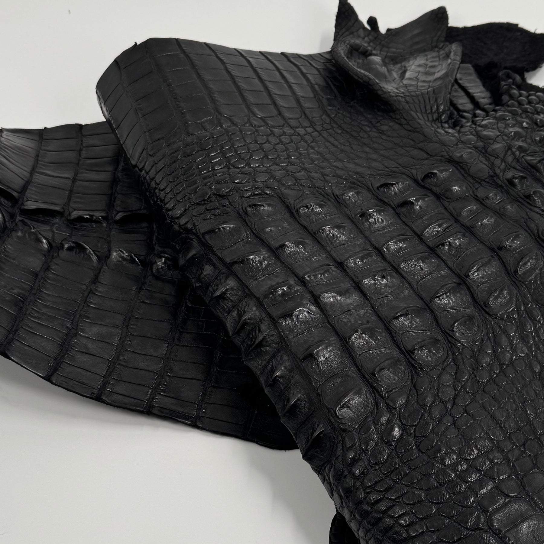 Exclusive Hornback Alligator in Black (56 cm) - Only 1 Available!