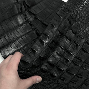 Exclusive Hornback Alligator in Black (56 cm) - Only 1 Available!