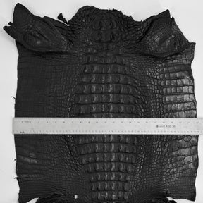 Exclusive Hornback Alligator in Black (56 cm) - Only 1 Available!