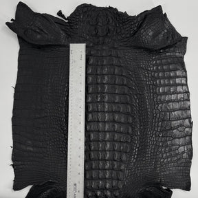 Exclusive Hornback Alligator in Black (56 cm) - Only 1 Available!