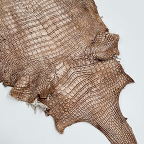 30% OFF Large Nile Crocodile - Hand Painted "Cinnamon Beige" 45 cm | SALE