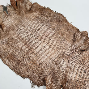 30% OFF Large Nile Crocodile - Hand Painted "Cinnamon Beige" 45 cm | SALE