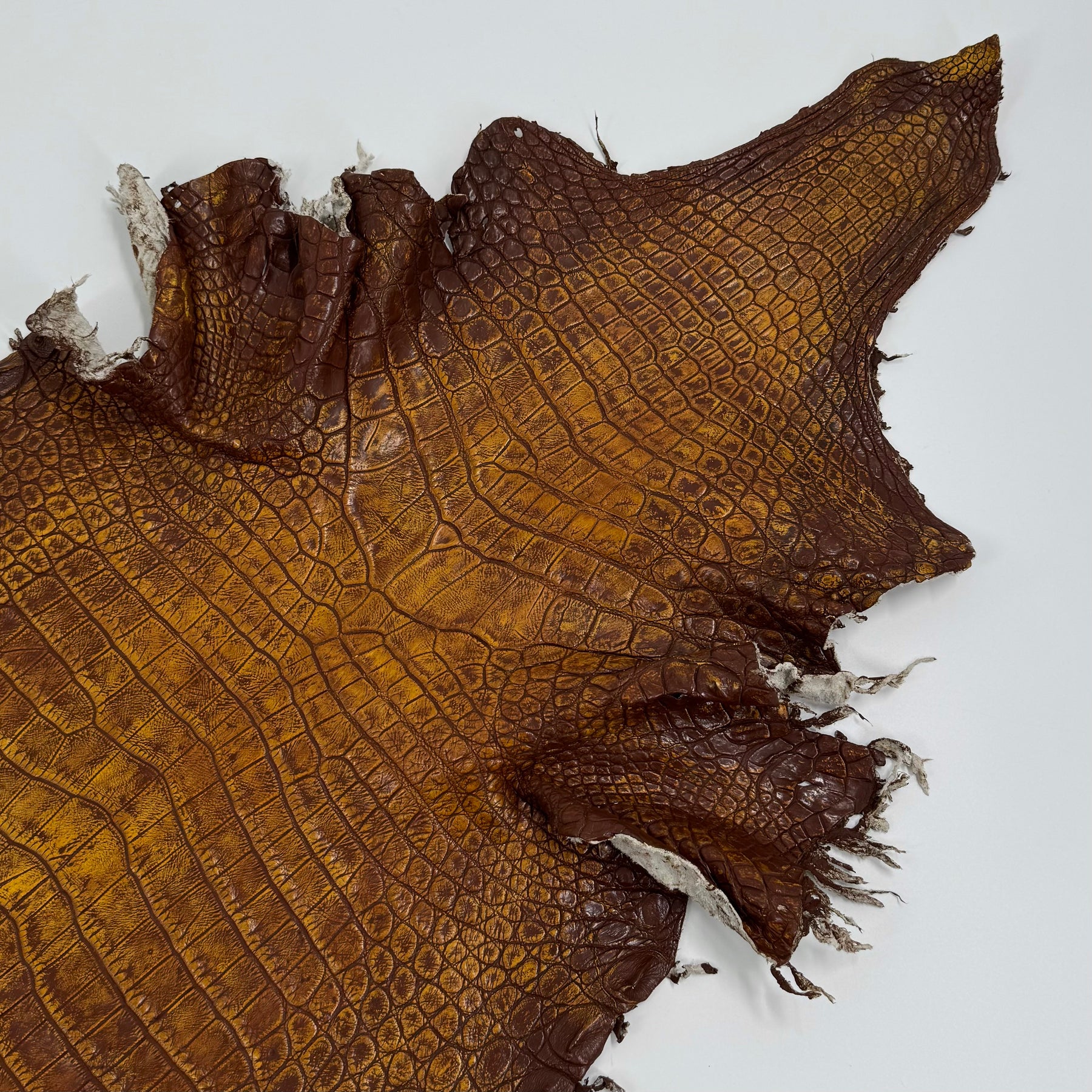 25% OFF Large Nile Crocodile - Hand Painted "Yellow Rust" 44 cm | SALE