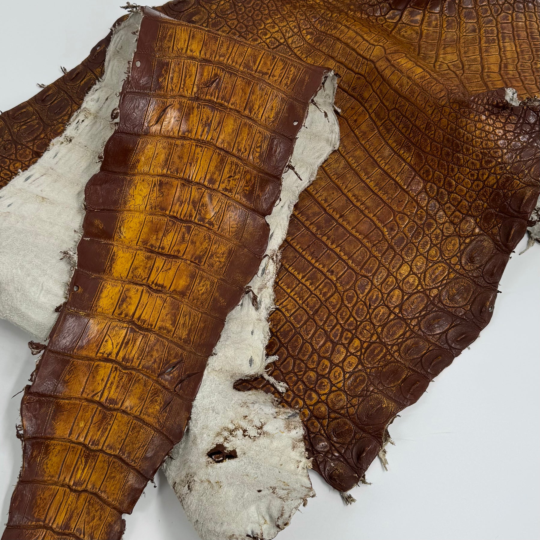 25% OFF Large Nile Crocodile - Hand Painted "Yellow Rust" 44 cm | SALE