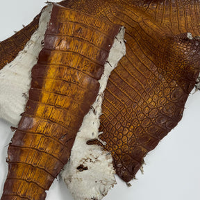 25% OFF Large Nile Crocodile - Hand Painted "Yellow Rust" 44 cm | SALE