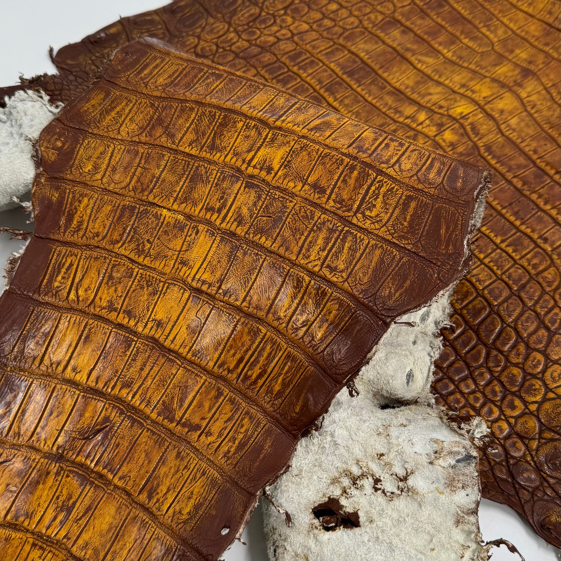 25% OFF Large Nile Crocodile - Hand Painted "Yellow Rust" 44 cm | SALE