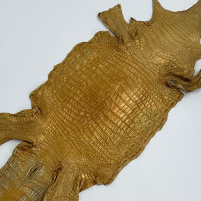 Buy 2, Get 20% OFF - Small Nile Crocodile - Only 4 available | SALE