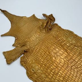 Buy 2, Get 20% OFF - Small Nile Crocodile - Only 4 available | SALE