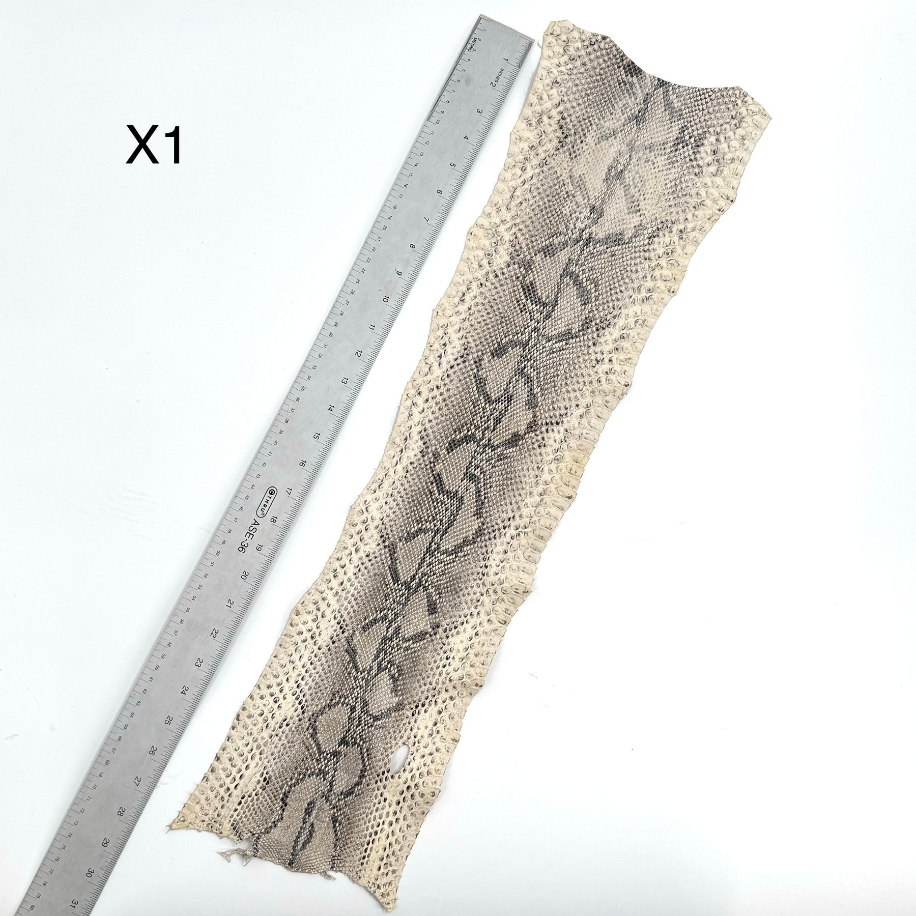 Short Python Cuts | Final Sale