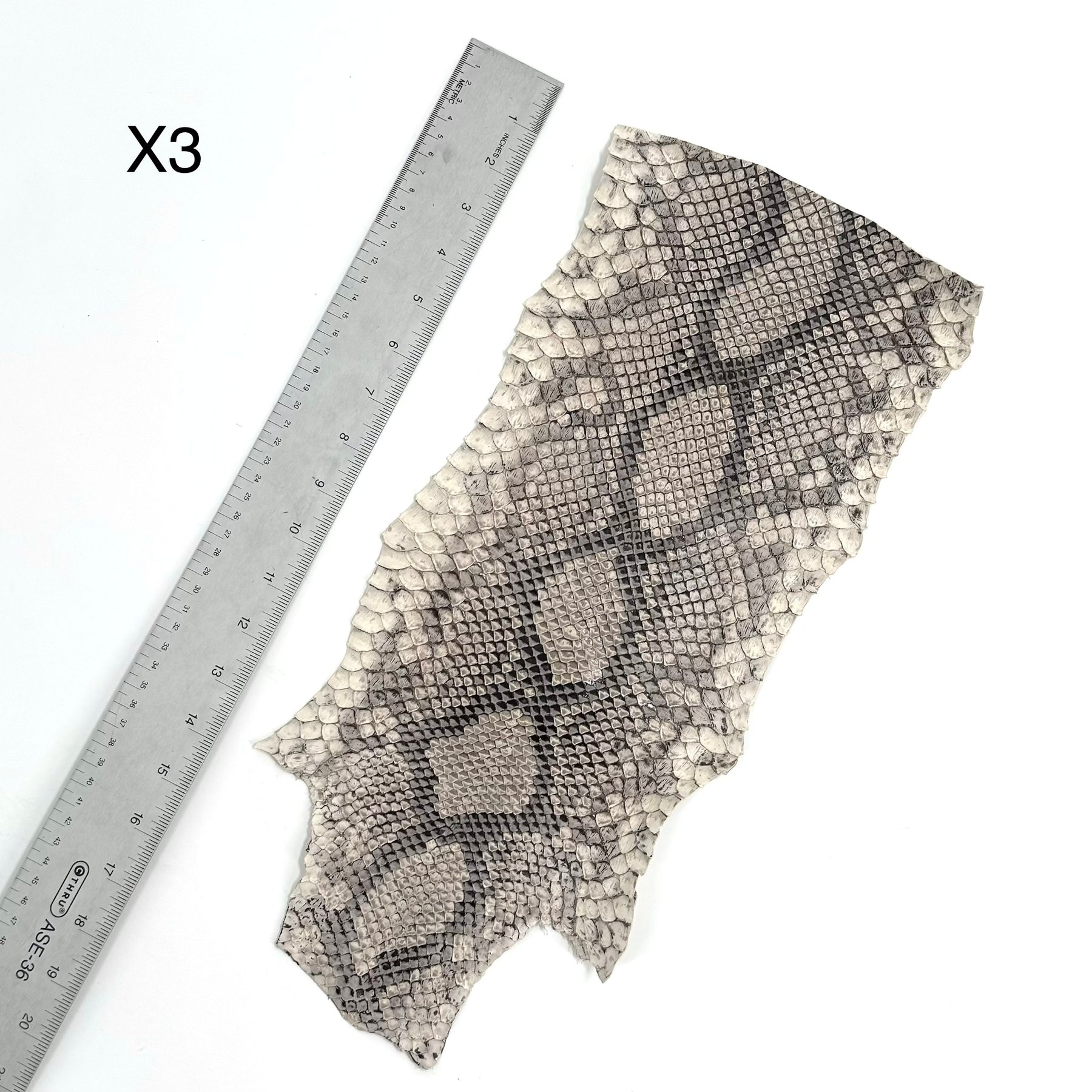 Short Python Cuts | Final Sale