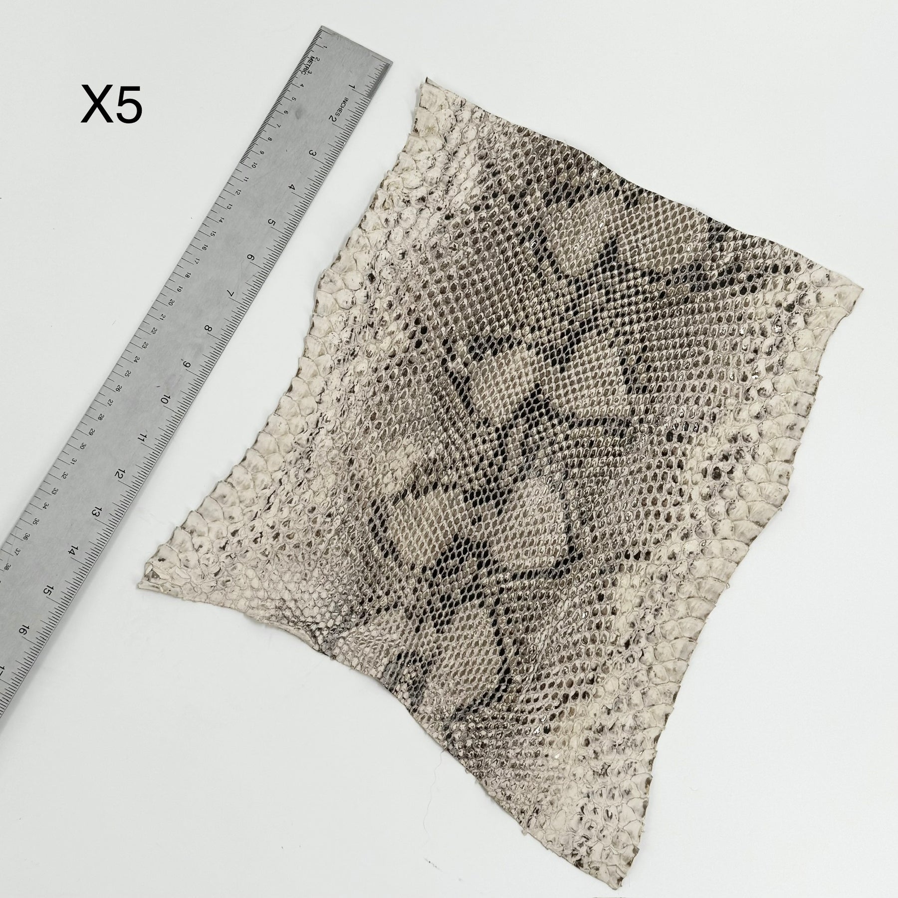 Short Python Cuts | Final Sale