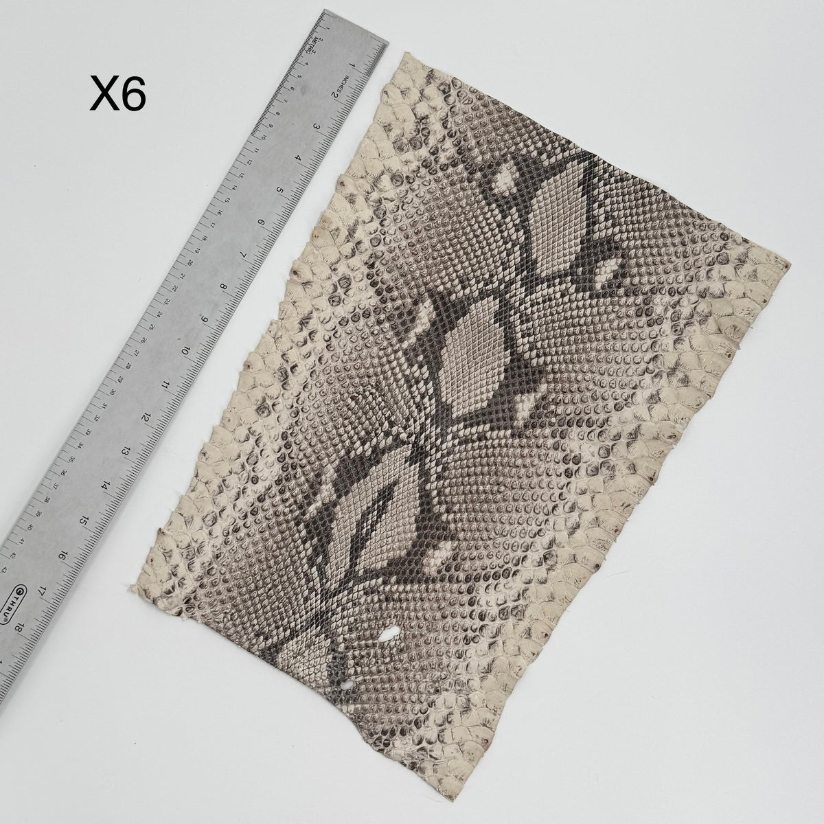 Short Python Cuts | Final Sale
