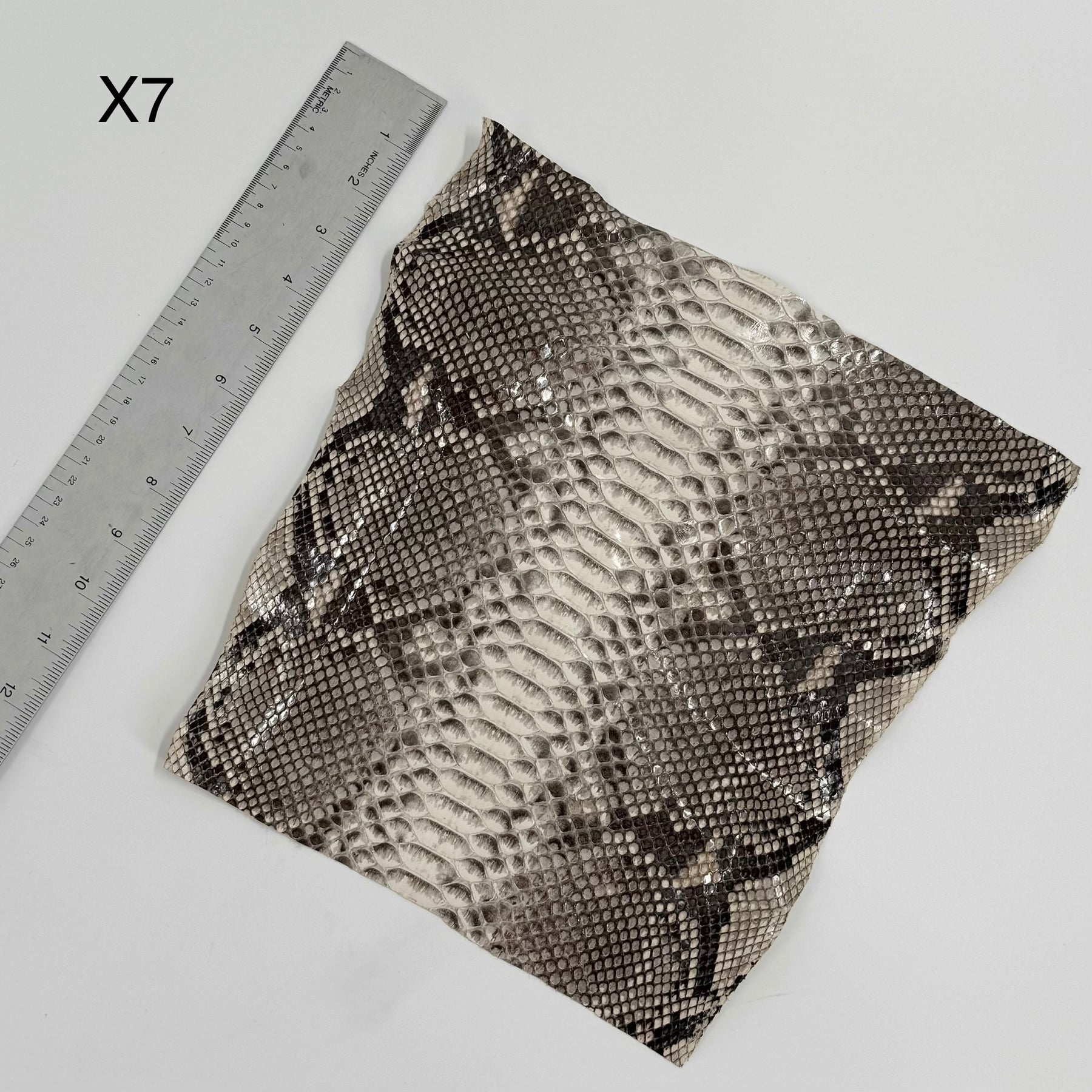 Short Python Cuts | Final Sale