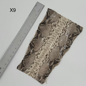 Short Python Cuts | Final Sale