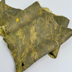 Yellow/Green Dimensional Python Front Cut Long Tail (Grade 2) Only 1 Available ZY8 | SALE