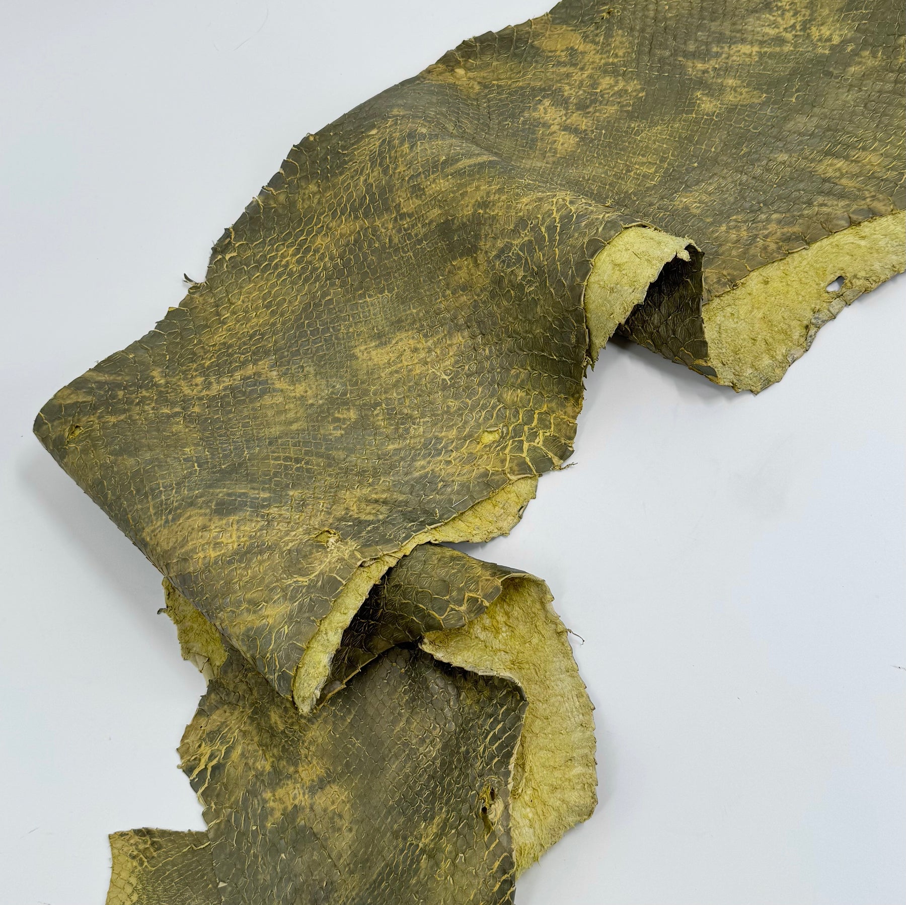 Yellow/Green Dimensional Python Front Cut Long Tail (Grade 2) Only 1 Available ZY8 | SALE