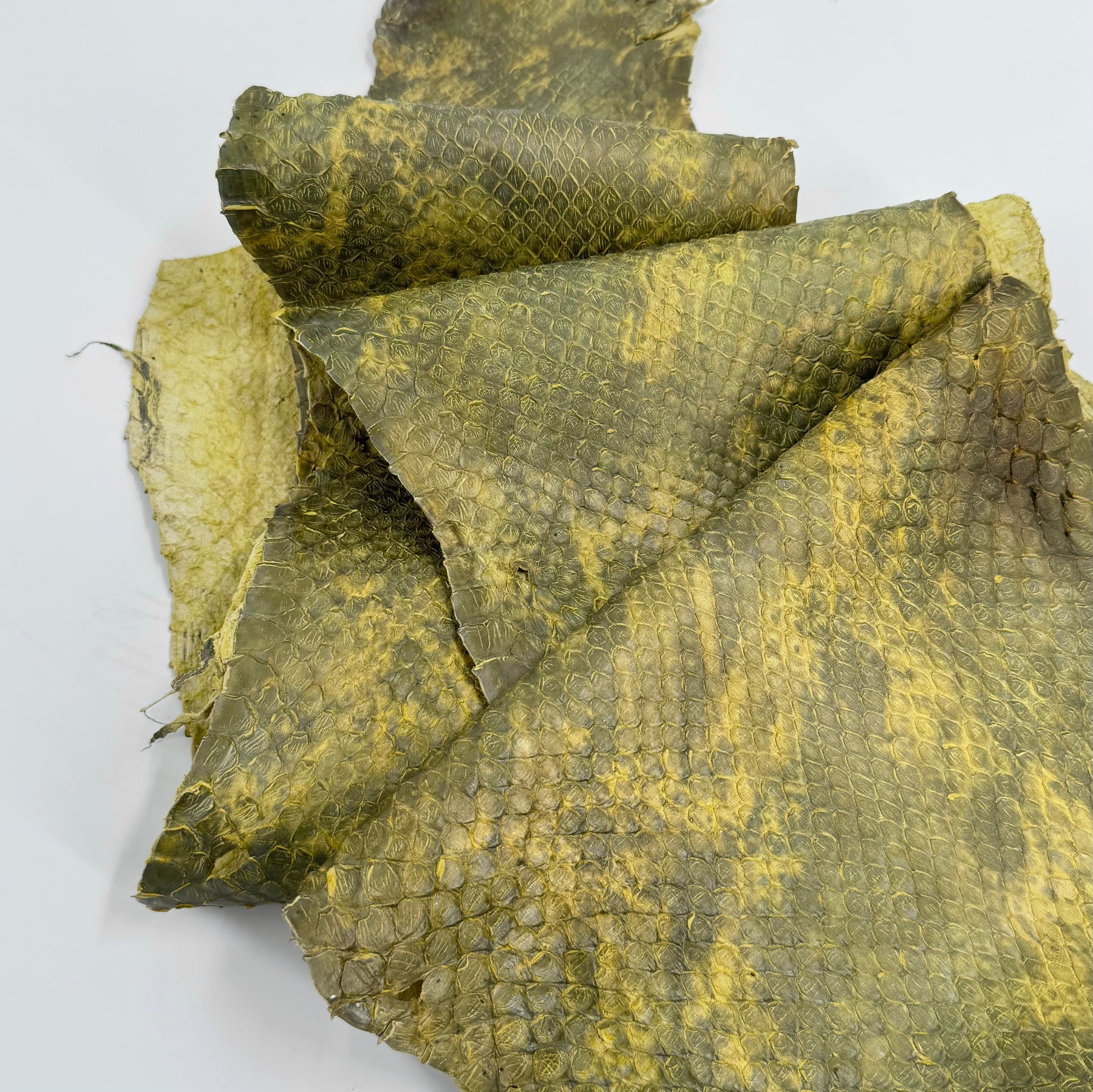 Yellow/Green Dimensional Python Front Cut Long Tail (Grade 2) Only 1 Available ZY9 | SALE