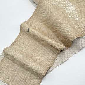 EXTRA LARGE & Wide Front Cut Glazed Python - Only 3 Available | SALE