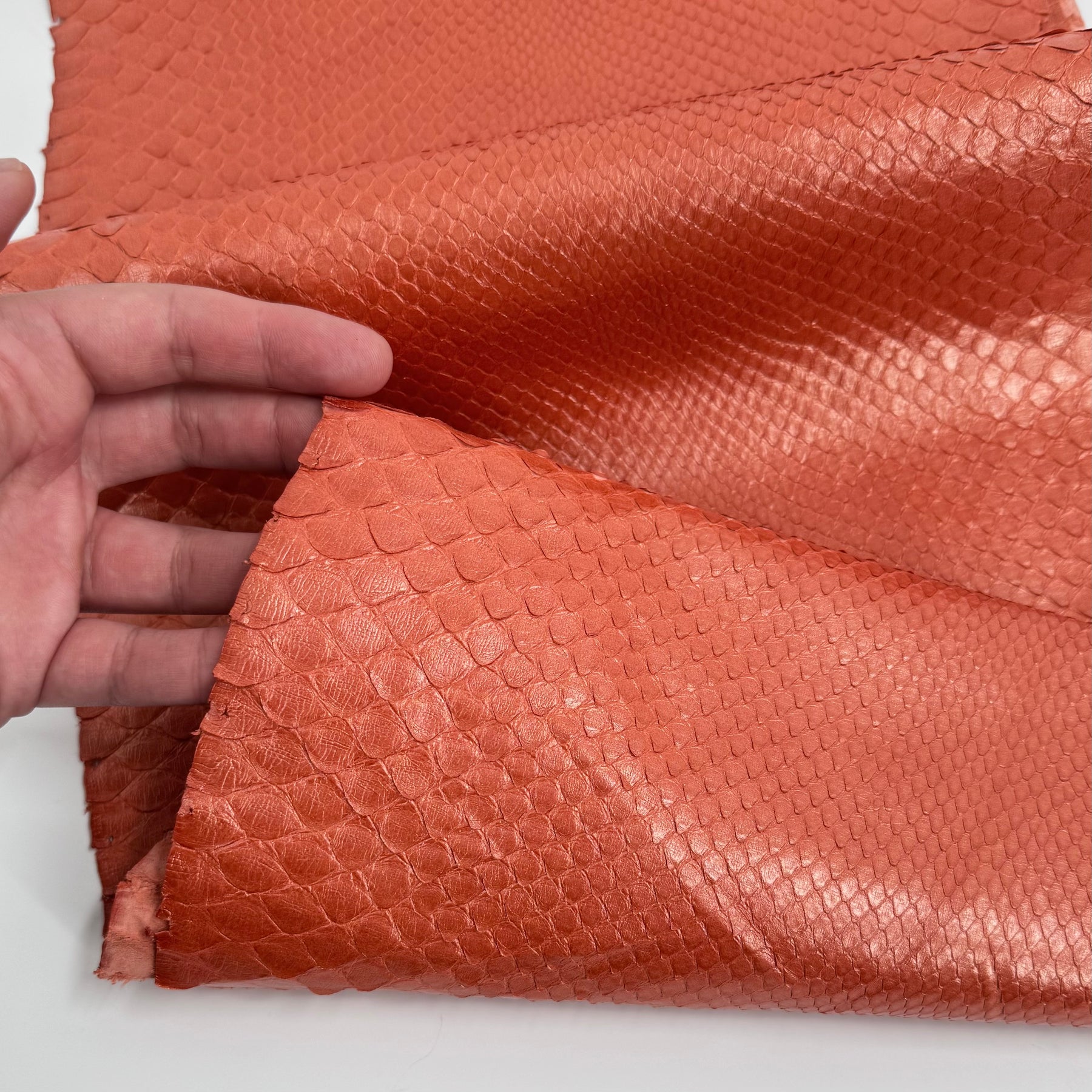 Pearlized Coral Python - Only 1 Available | SALE