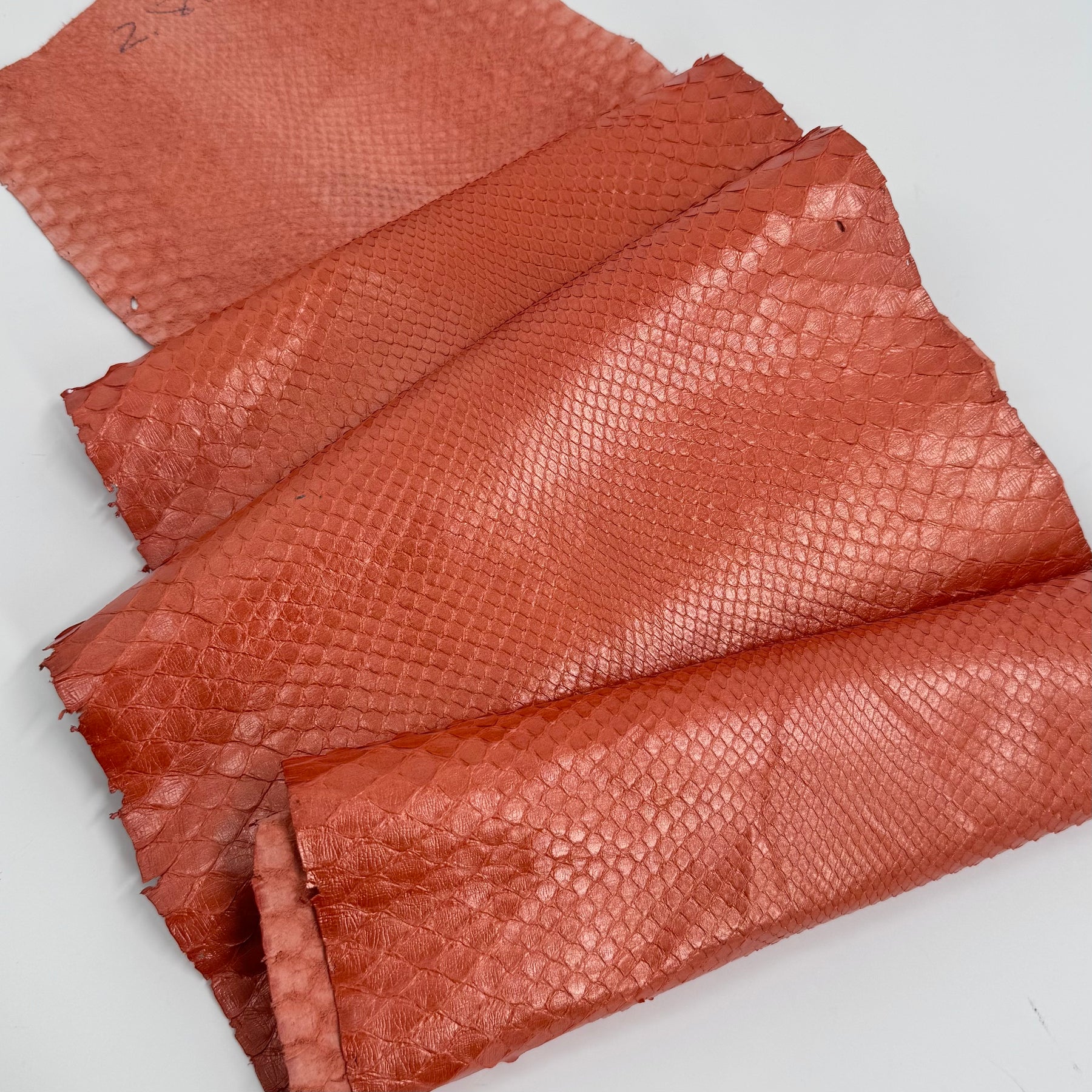 Pearlized Coral Python - Only 1 Available | SALE