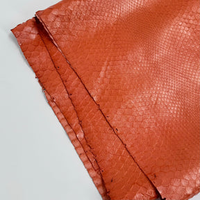 Pearlized Coral Python - Only 1 Available | SALE