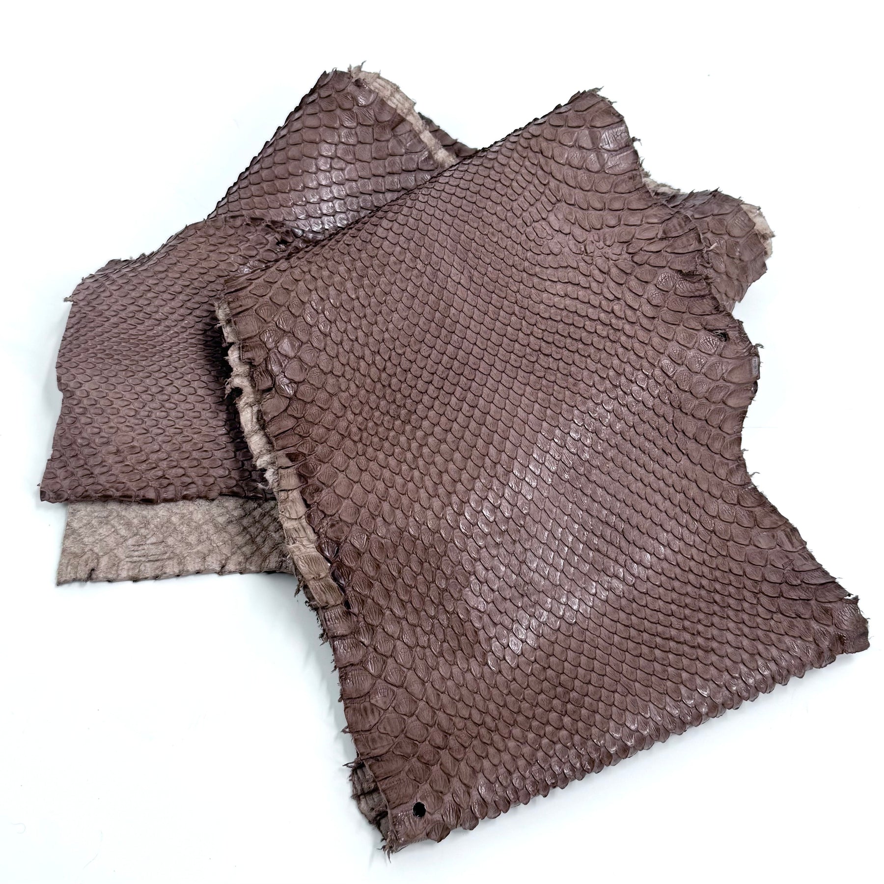 Skinny Front Cut Warm Taupe Python - Only 1 Available | SALE
