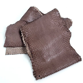 Skinny Front Cut Warm Taupe Python - Only 1 Available | SALE