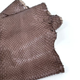 Skinny Front Cut Warm Taupe Python - Only 1 Available | SALE