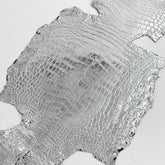 Silver Mirror Foil Mini Nile Crocodile | 23-26 cm