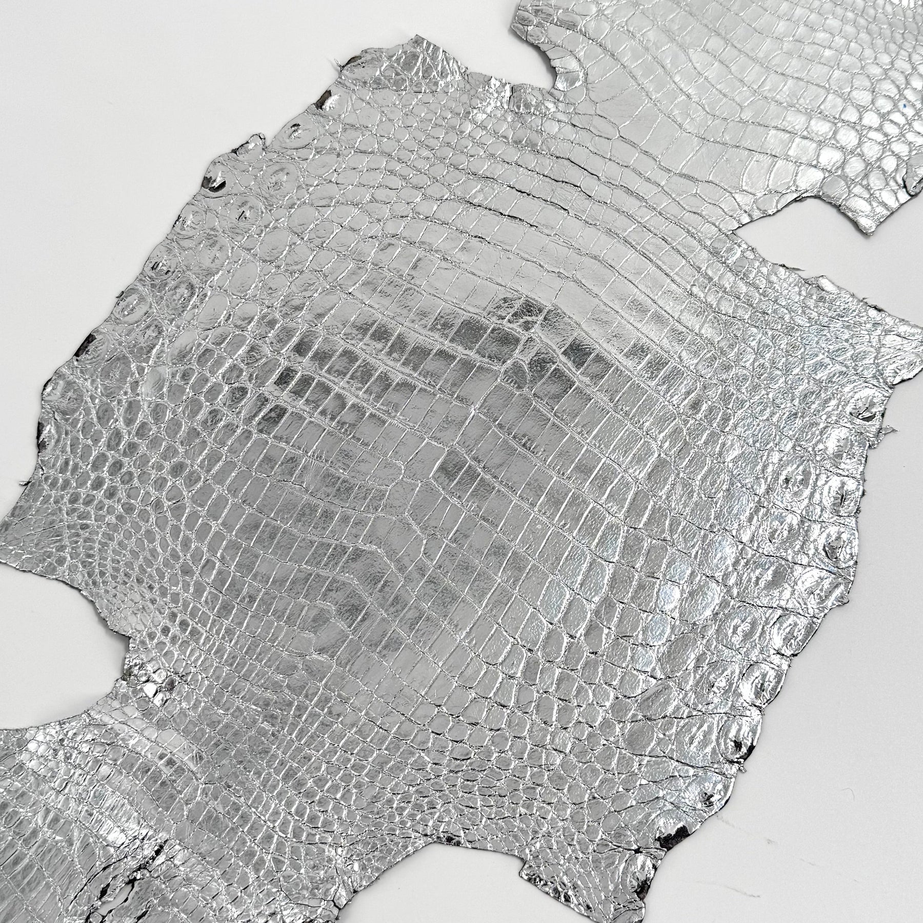 Silver Mirror Foil Mini Nile Crocodile | 23-26 cm