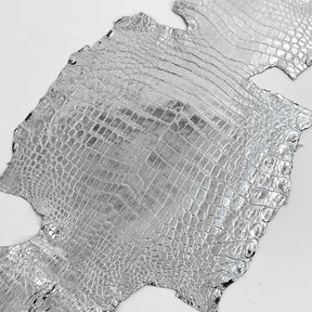 Silver Mirror Foil Mini Nile Crocodile | 23-26 cm