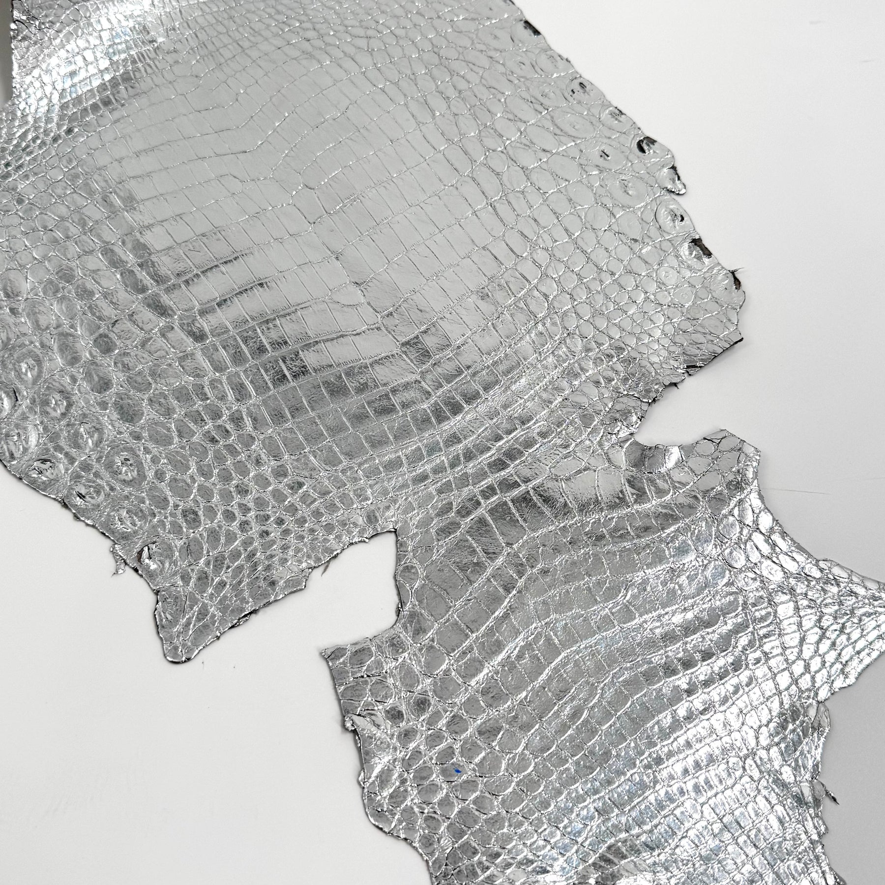 Silver Mirror Foil Mini Nile Crocodile | 23-26 cm