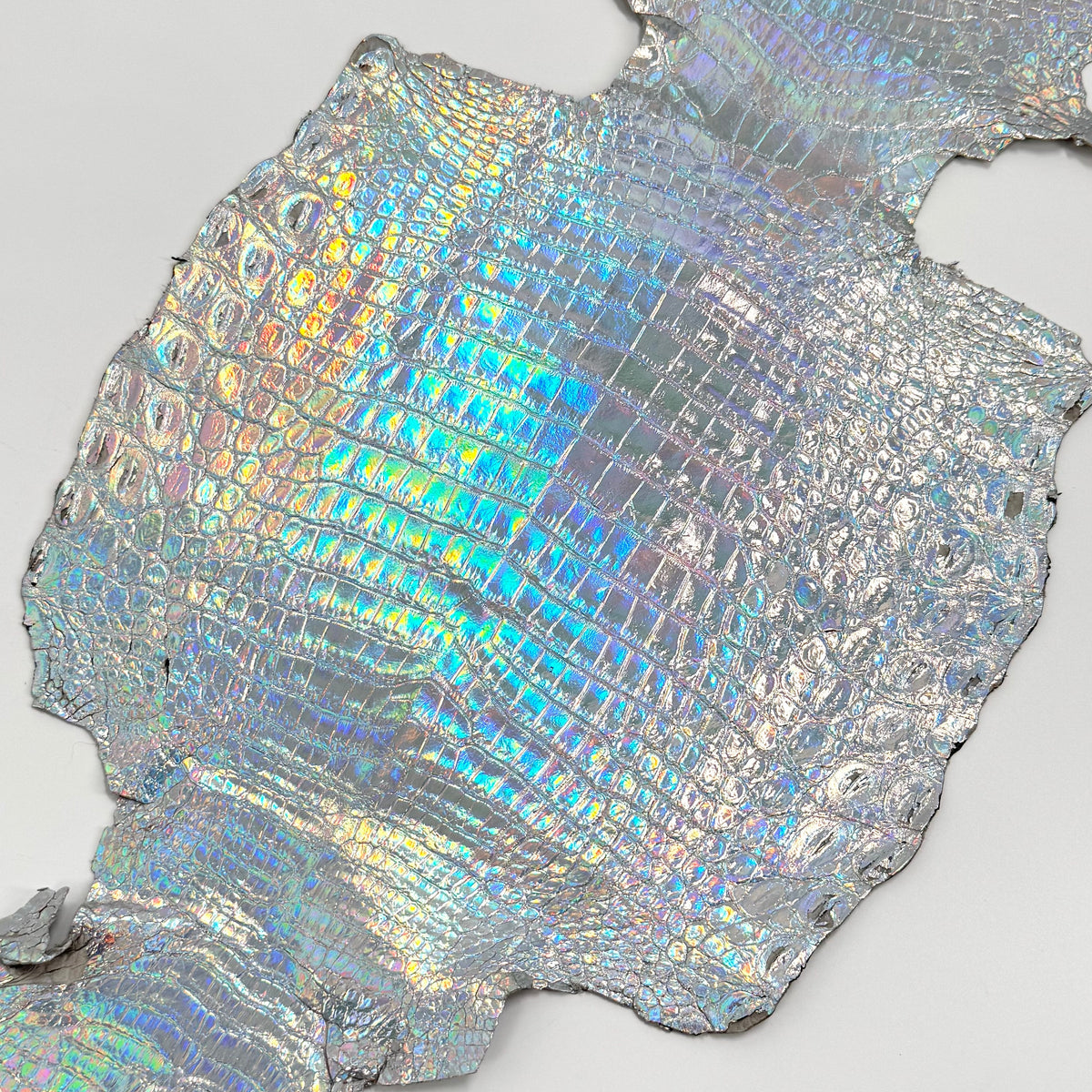 Holographic Foil Mini Nile Crocodile (23-26 cm) | Ships in 3-4 weeks