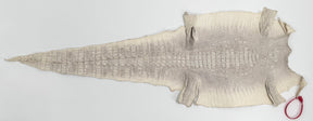 30% OFF Hornback Crocodile Undyed Crust - Only 1 available | SALE