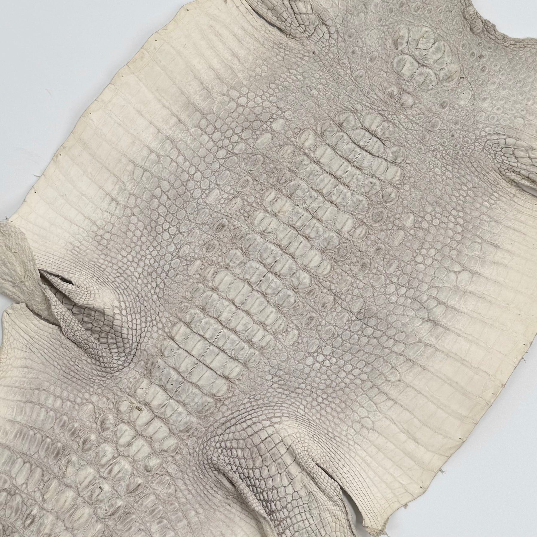 30% OFF Hornback Crocodile Undyed Crust - Only 1 available | SALE
